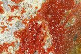 Red & Orange Vanadinite Crystals on Dolomite - Morocco #155412-1